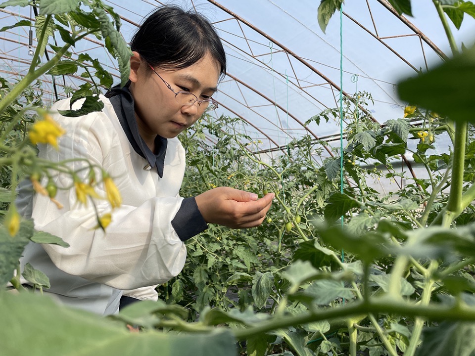 立夏｜冬春磨砺皆为序章 五月初夏向阳生长