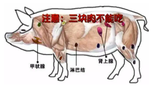 1b013a581d76fba98259f15e8eb2fbd.png
