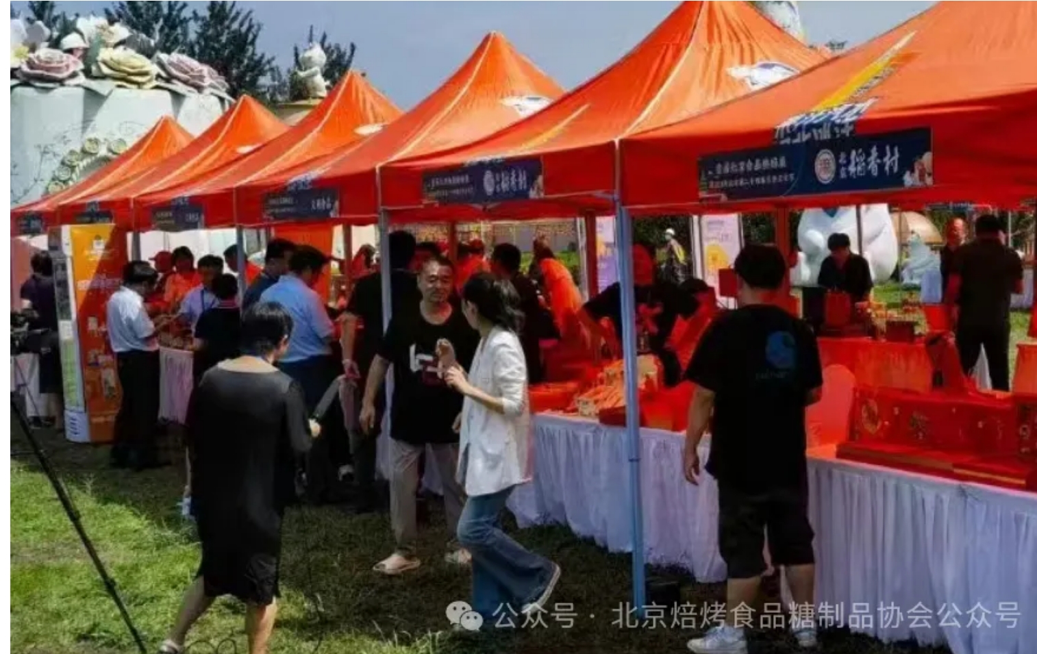 1724504776442802.jpeg