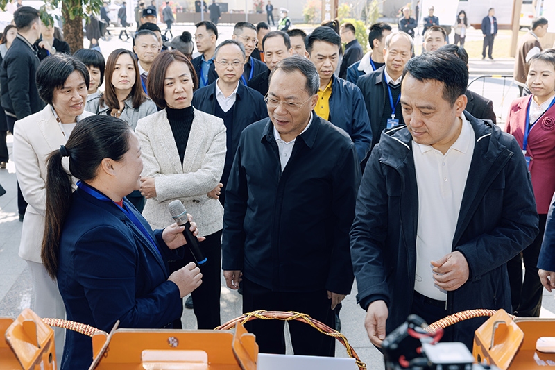 XI__7855.jpg
