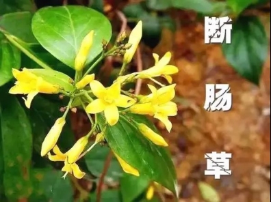 微信图片_20250107171801.png
