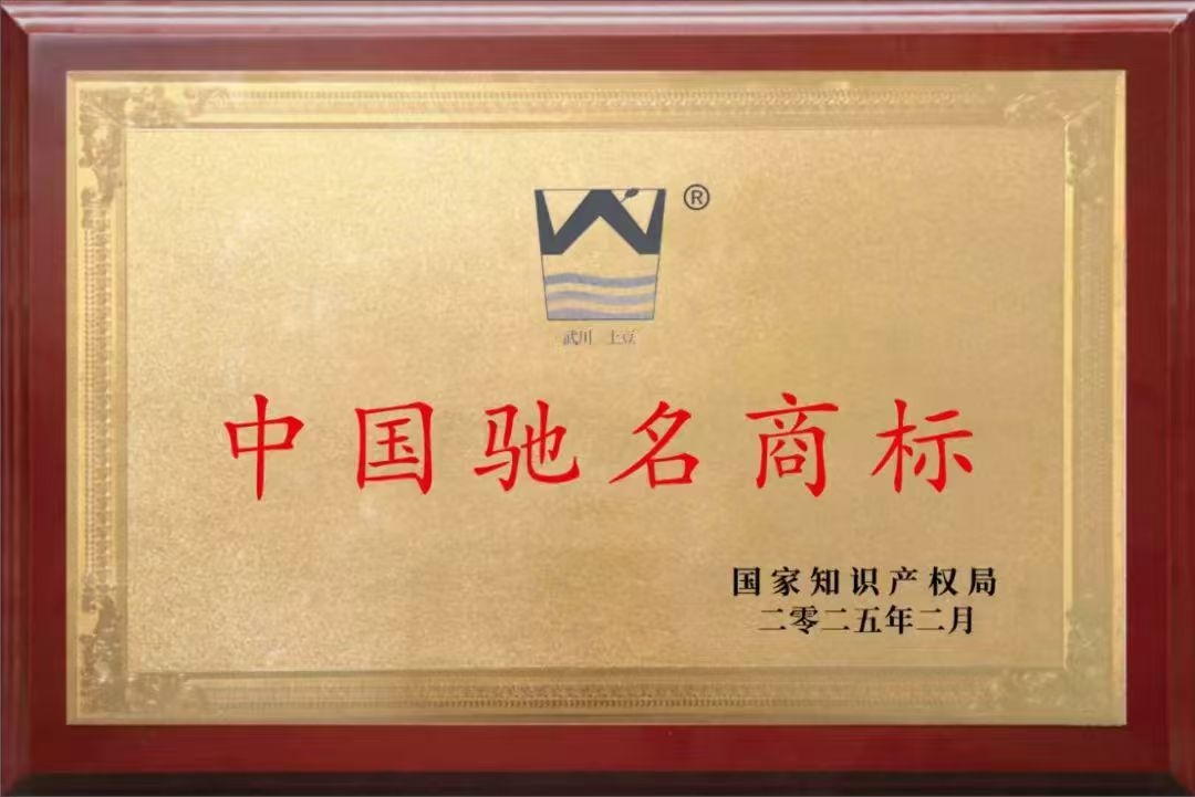 1739704275302067.png