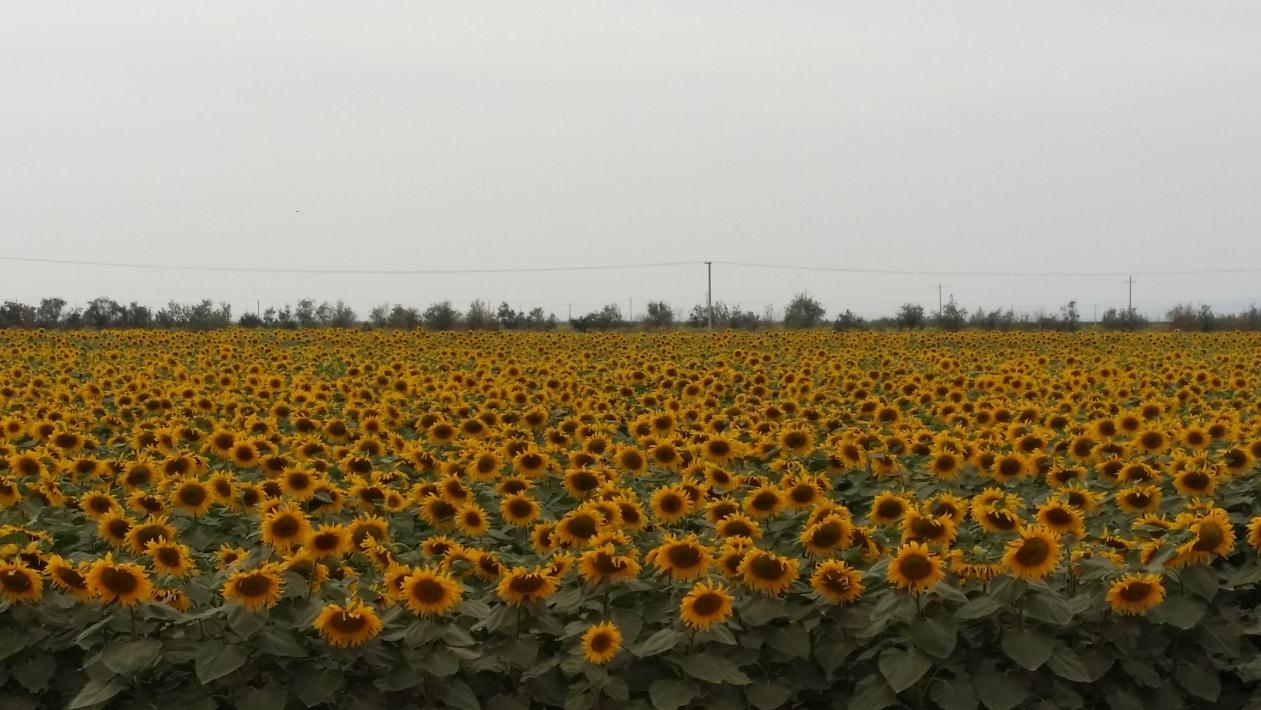 1740994537718789.png