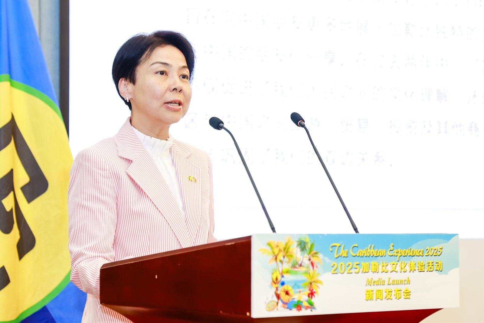 2025加勒比文化体验活动新闻发布会在京举行
