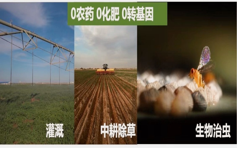 微信圖片_20250313101330.png
