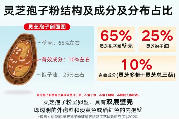去壁 vs 破壁灵芝孢子粉：从药动学角度看吸收优势