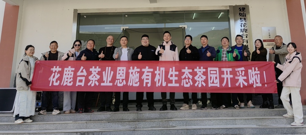 “花鹿台”茶业武陵山示范区长岭岗茶园基地开园