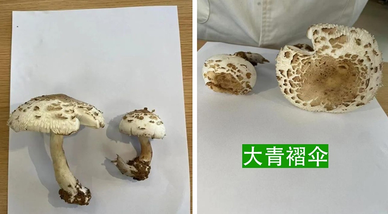 微信图片_20250423065057 拷贝.jpg