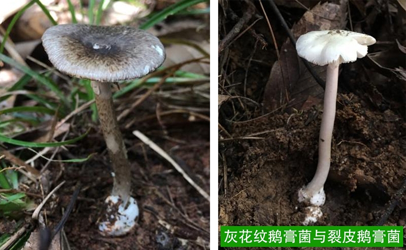 微信图片_20250423065058 拷贝.jpg