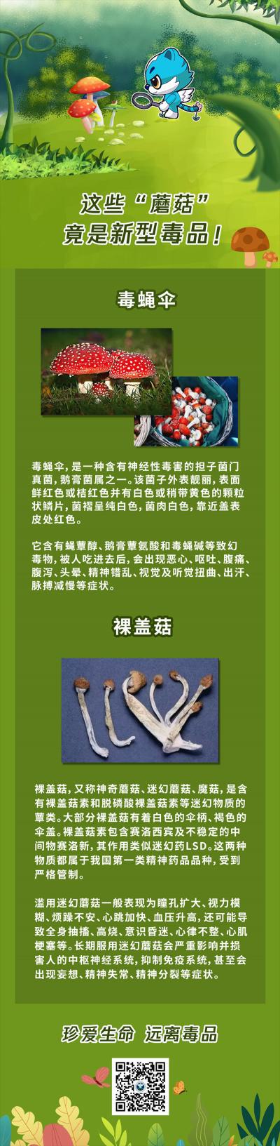 微信图片_20250423070658.png