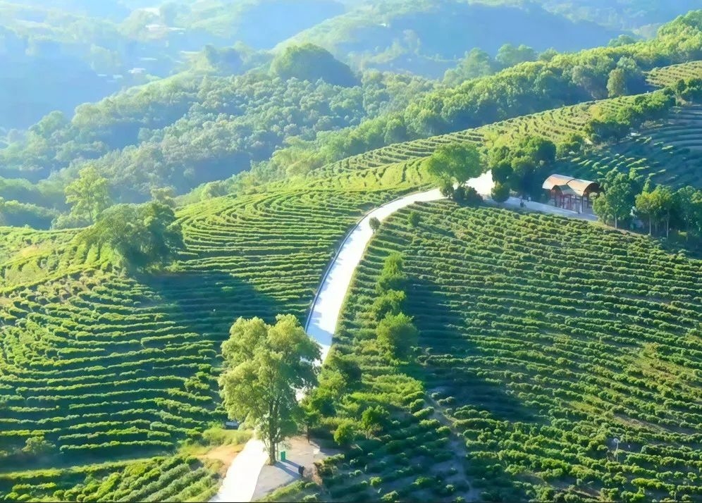1747210035186256.jpg