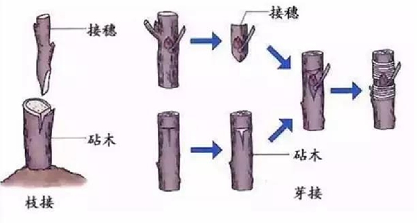 微信圖片_20250519185855.png