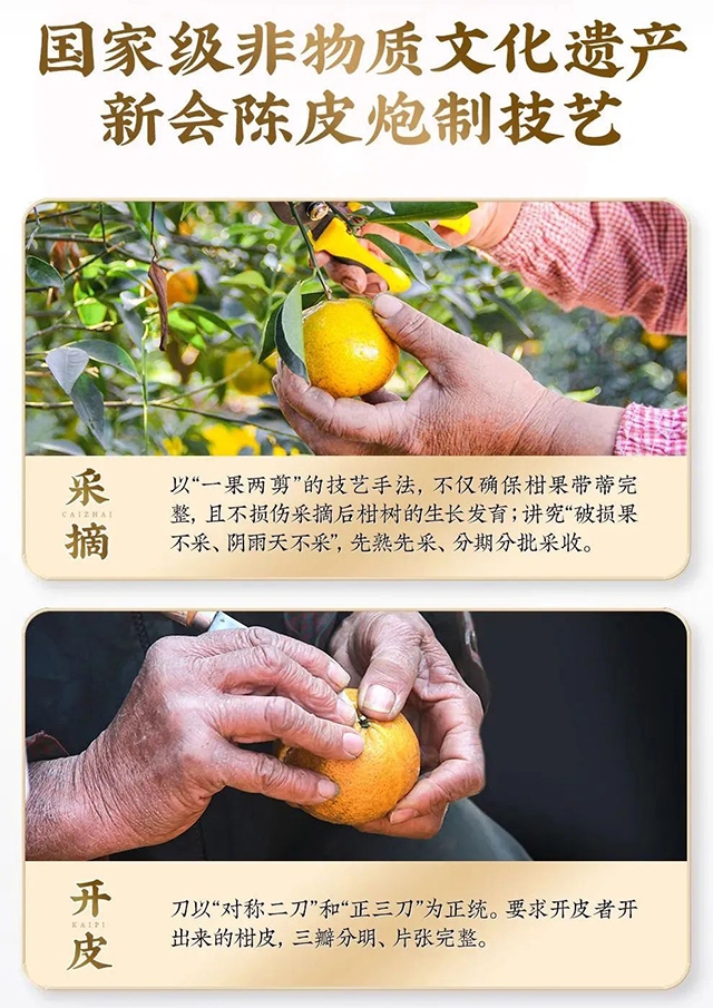 微信圖片_20250519190132 拷貝.jpg