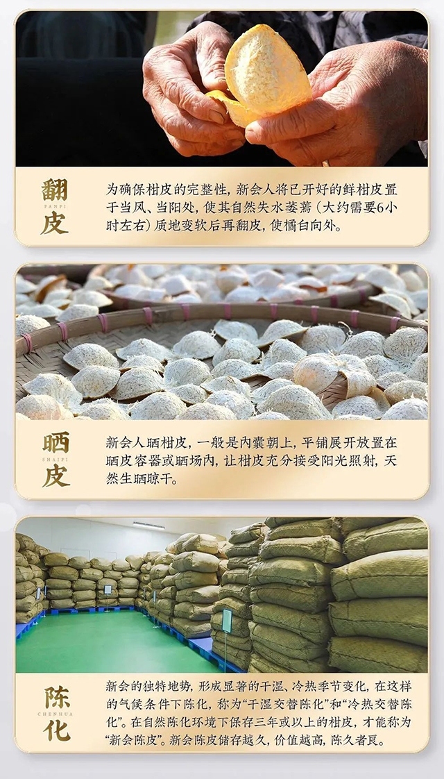 微信圖片_20250519190132 拷貝1.jpg