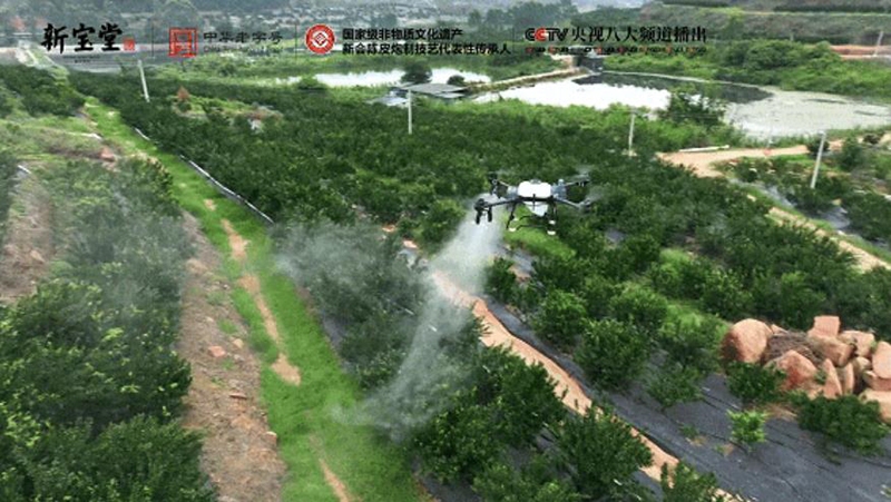 360截圖20250623171905632.jpg