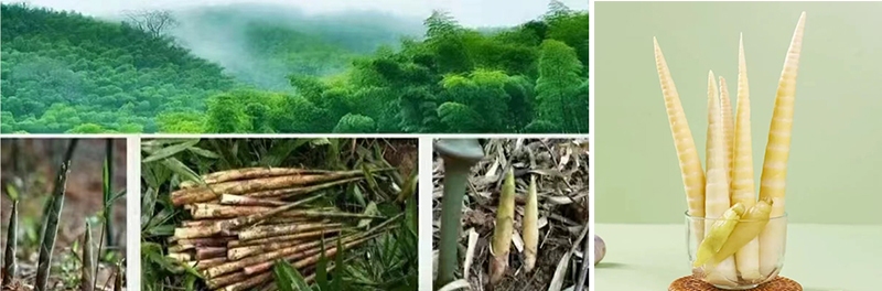 微信截圖_20250625201434 拷貝.jpg