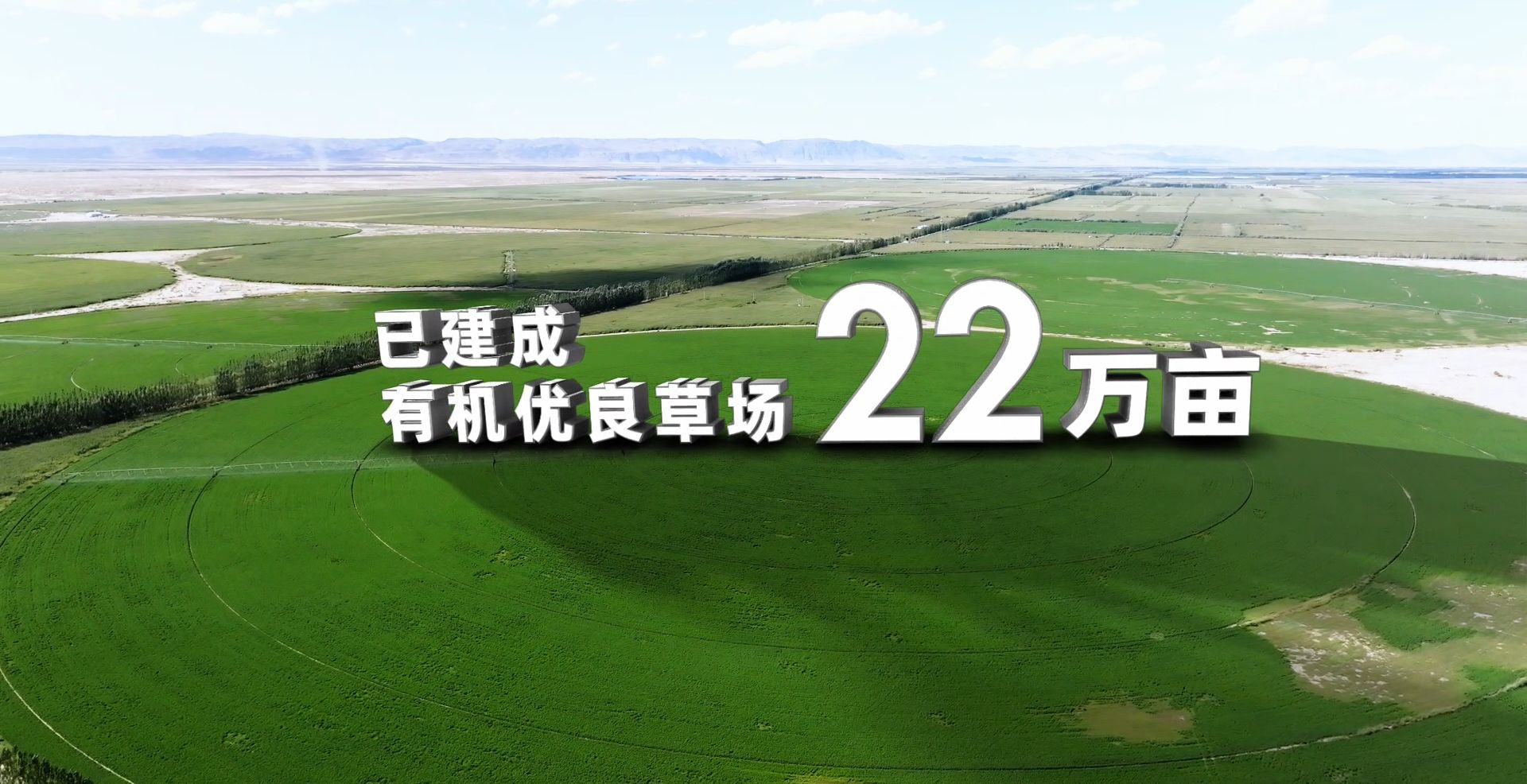 1752208998620335.png